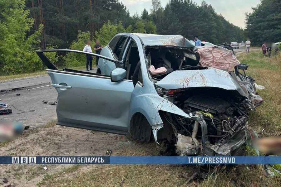На Гомельщине в лобовой аварии погибли три человека, среди них и ребенок