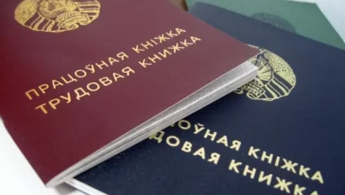 Как белорусам проверить страховой стаж и пенсионные накопления
