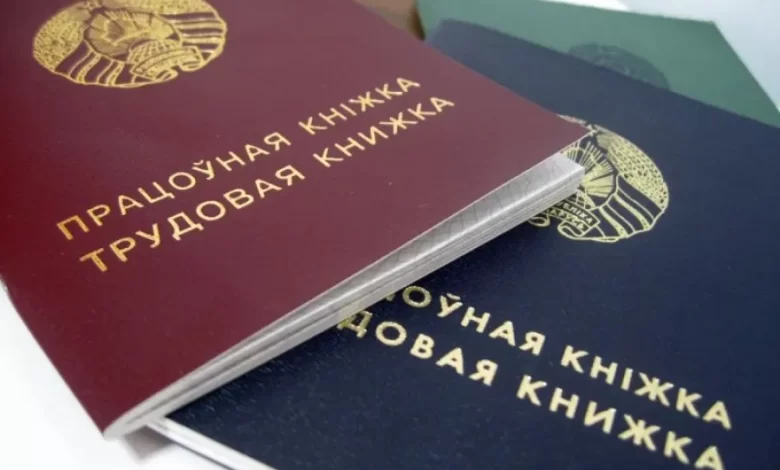 Как белорусам проверить страховой стаж и пенсионные накопления