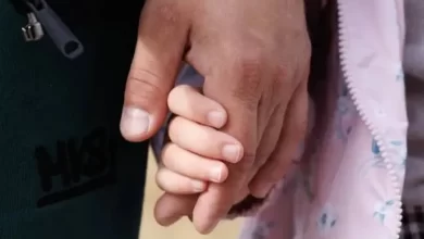 В Беларуси ужесточили правила благотворительных сборов. Блогеры больше не смогут собирать деньги самостоятельно