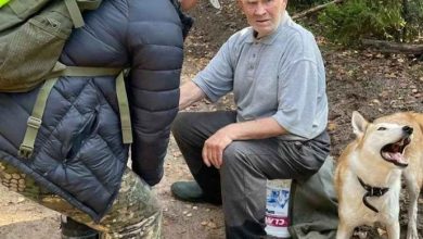 Пенсионер провел восемь суток в лесу и питался сырыми грибами