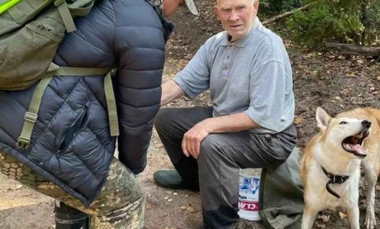 Пенсионер провел восемь суток в лесу и питался сырыми грибами