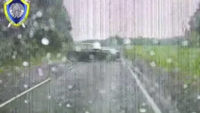 111 км/ч при разрешённых 70: под Полоцком в ДТП погибла 17-летняя пассажирка BMW