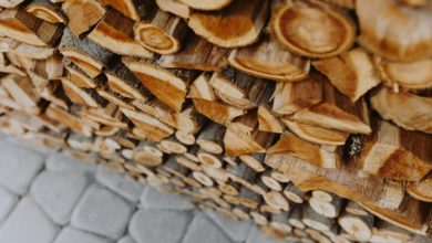 Дрова купить в пару кликов: в Беларуси запустят онлайн-заказ покупки дров