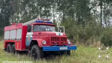 Спасатели нашли заблудившихся грибников в Дубровенском и Могилевском районах