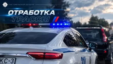 ГАИ усилит контроль на трассе М-10 в Гомельской области: водителей ждут рейды 25 и 26 сентября
