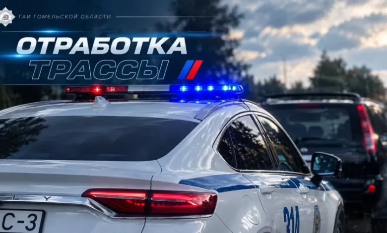 ГАИ усилит контроль на трассе М-10 в Гомельской области: водителей ждут рейды 25 и 26 сентября