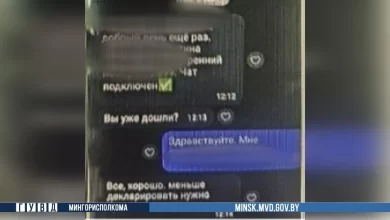 «Вам грозит обыск»: минчанка перевела мошенникам почти 2 000 рублей, пытаясь спасти свои деньги