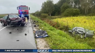 В лобовом столкновении в Дубровенском районе погибла пассажирка Audi