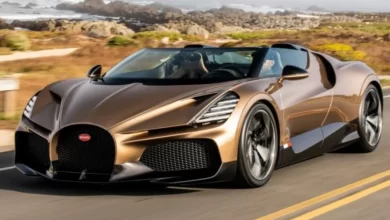 Тимати купил Bugatti за полмиллиарда рублей: утильсбор составил 244 млн