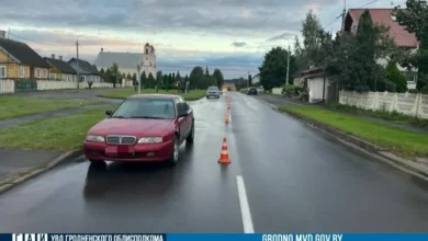 В Щучинском районе 8-летнюю девочку сбил автомобиль