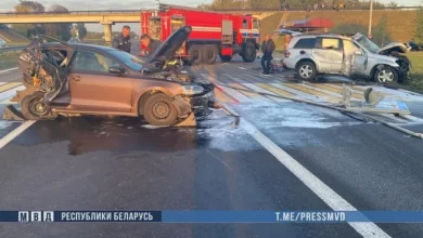 Водитель Mercedes-Benz задержан после ДТП в Брестской области