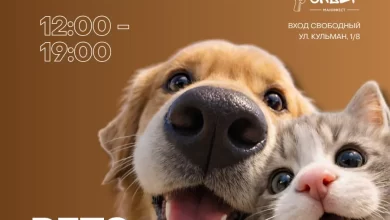 В Минске пройдет семейная акция PETS & FRIENDS PARTY в поддержку приюта «Пёсокот»