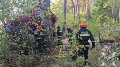 Грузовик съехал в кювет и врезался в дерево в Славгородском районе: водителя деблокировали спасатели