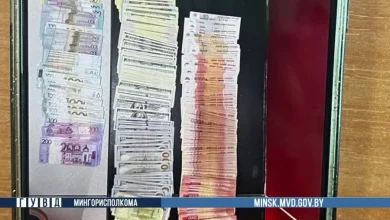 Мошенники использовали студентку из Минска для хищения денег