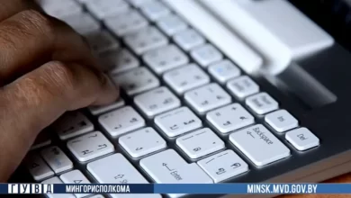 В Минске ликвидирован даркнет-магазин наркотиков, организаторам грозит до 15 лет колонии (видео)