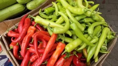 На ярмарке Центрального района свежий урожай и выгодные цены, смотрите какие