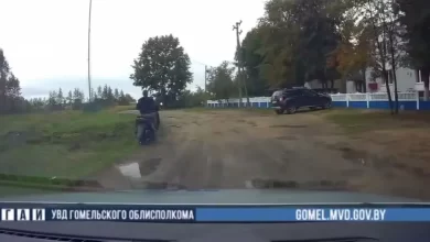 На Гомельщине бесправник на мотоцикле пытался скрыться от ГАИ в лесу (видео)