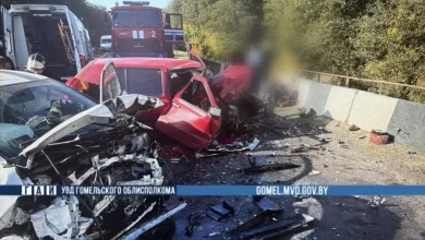 На мосту в Рогачёвском районе произошло лобовое ДТП: пострадали водитель и двое детей
