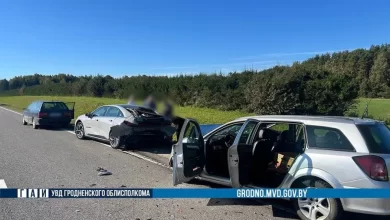 В Лидском районе смертельное ДТП. Водитель уснул за рулем.
