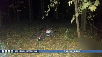 В Минском районе в ДТП погиб мотоциклист врезавшись в лося