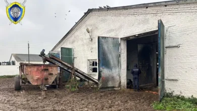 В Добрушском районе на ферме погиб работник