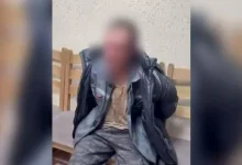 Тройное убийство в Столинском районе, подозреваемого задержали по горячим следам